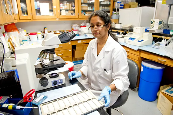 A researcher works in the lab.